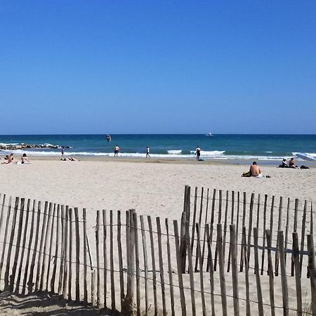 Chez Isabelle Et Virgile Bel Appartement, Avec Vues, A 50M De La Plage Палава-ле-Фло Экстерьер фото