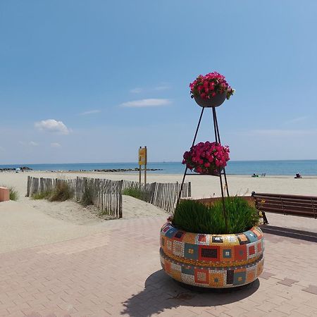 Chez Isabelle Et Virgile Bel Appartement, Avec Vues, A 50M De La Plage Палава-ле-Фло Экстерьер фото