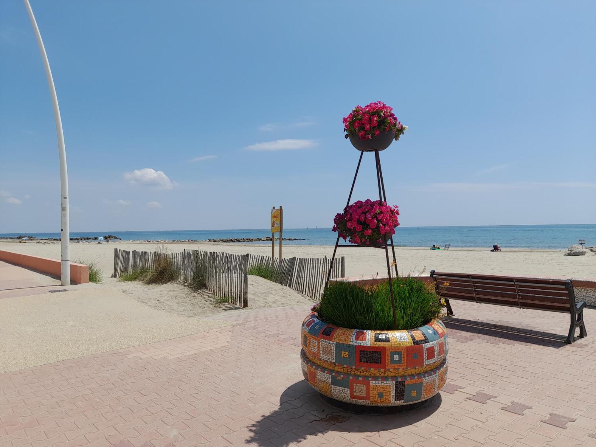 Chez Isabelle Et Virgile Bel Appartement, Avec Vues, A 50M De La Plage Палава-ле-Фло Экстерьер фото